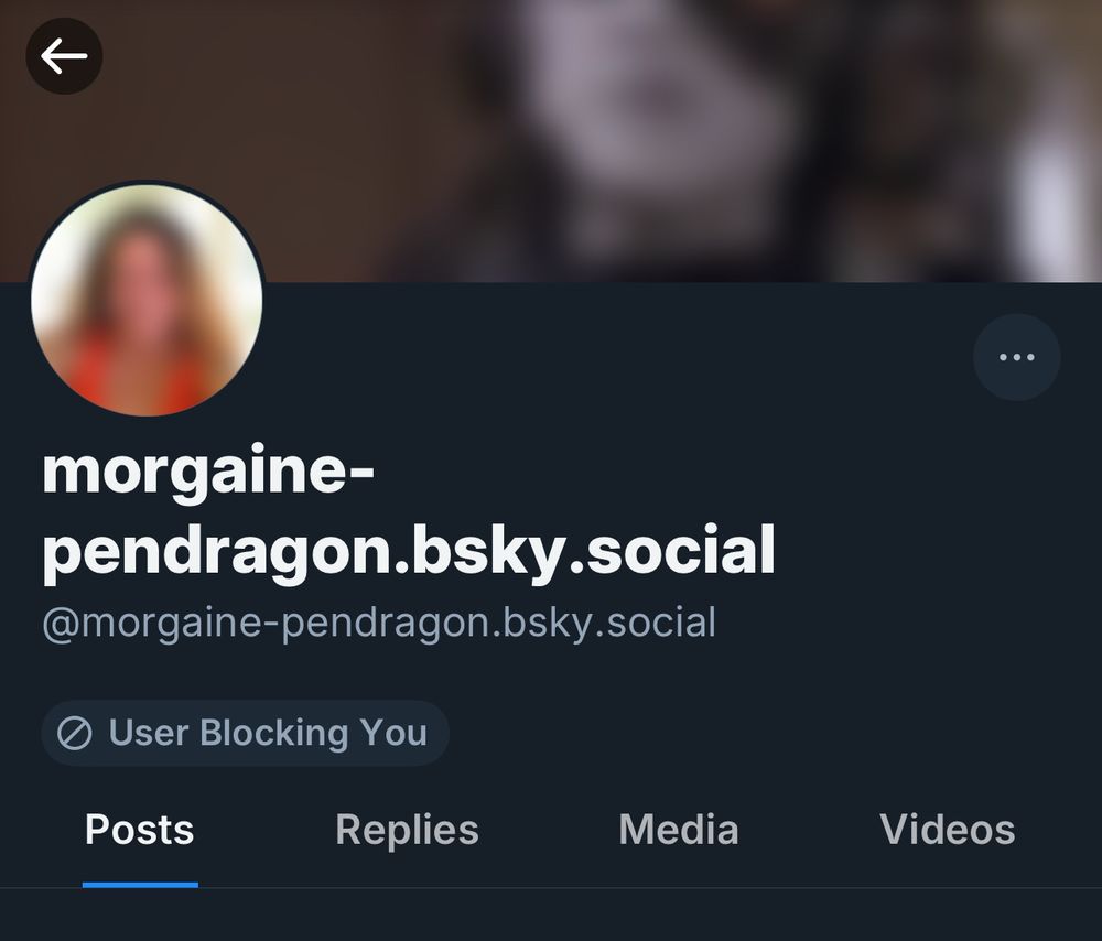 morgaine-
pendragon.bsky.social
@morgaine-pendragon.bsky.social

User Blocking You