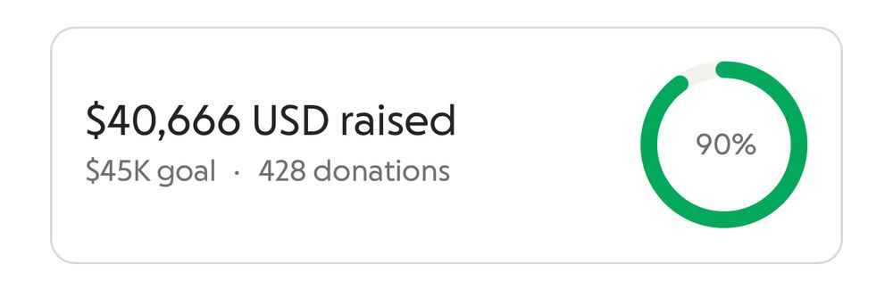 $40,666 USD raised
$45K goal • 428 donations