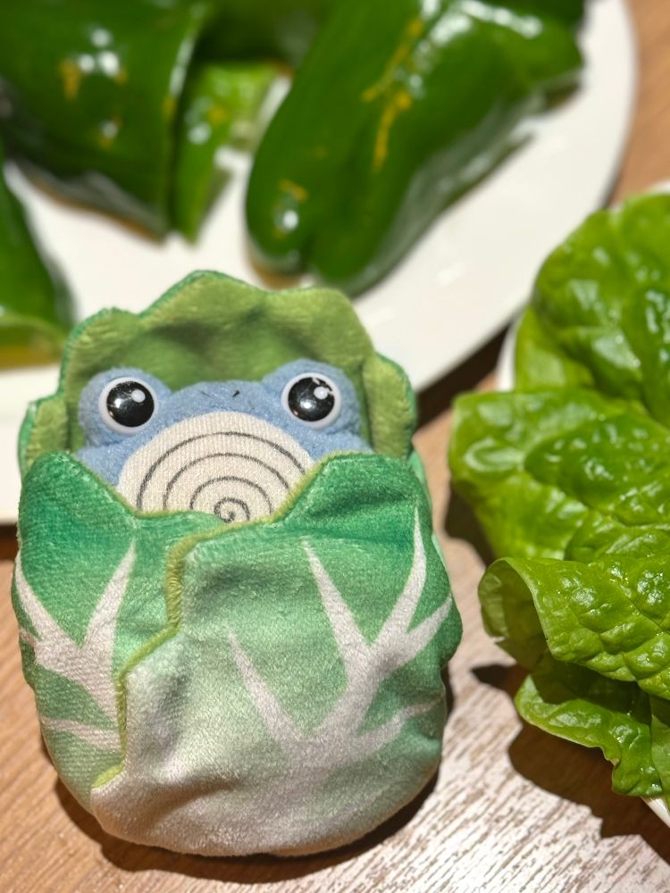 a Pokemon plushie of poliwhirl in a plush lettuce bed. 