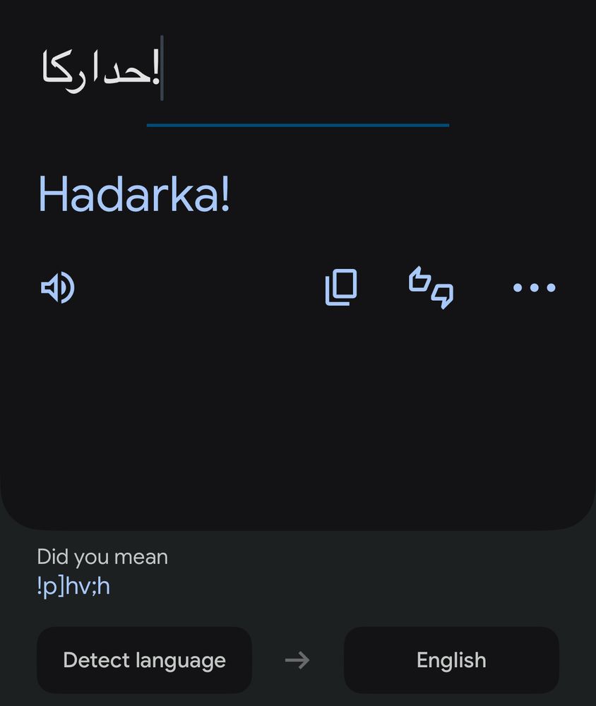 A screenshot of the google translate app that reads as follows:

إحداركا
Hadarka!

Did you mean
Iplhv;h

Detect language
English