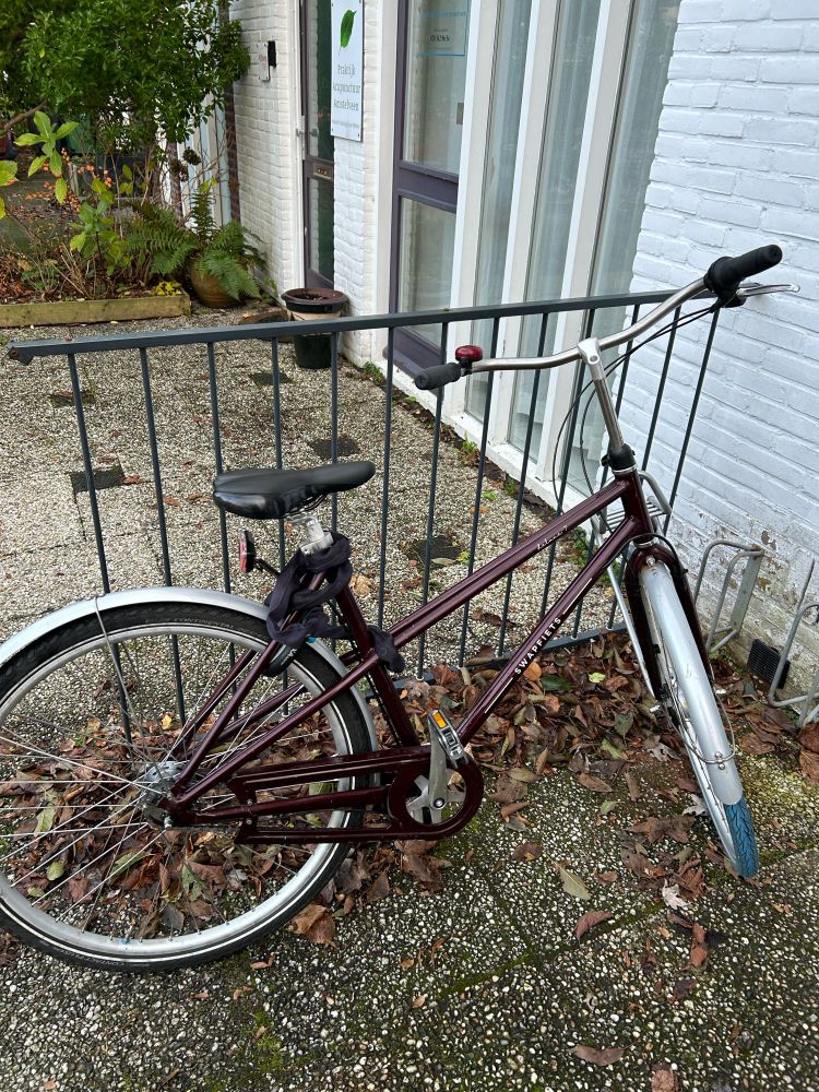 サブスクの自転車