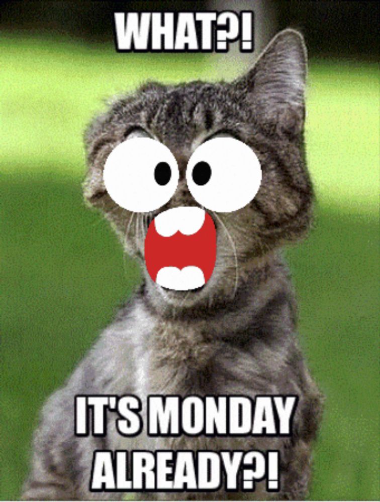 a cat with big eyes and a red mouth says " what ? " and " it 's monday already "