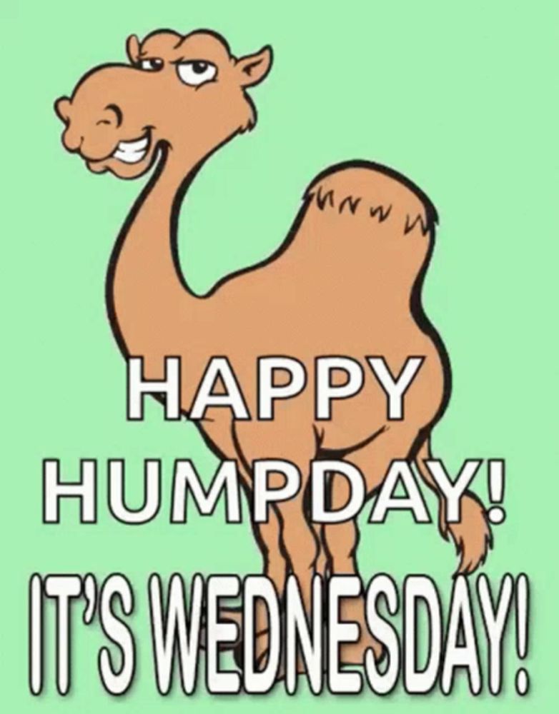 a cartoon camel with the words happy hump day it 's wednesday written below it