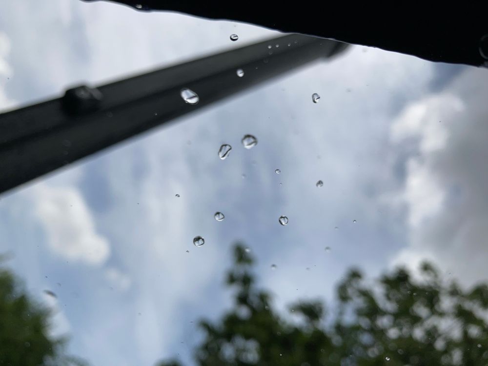 写真の焦点は雨滴です。
The photo focuses on the raindrops.