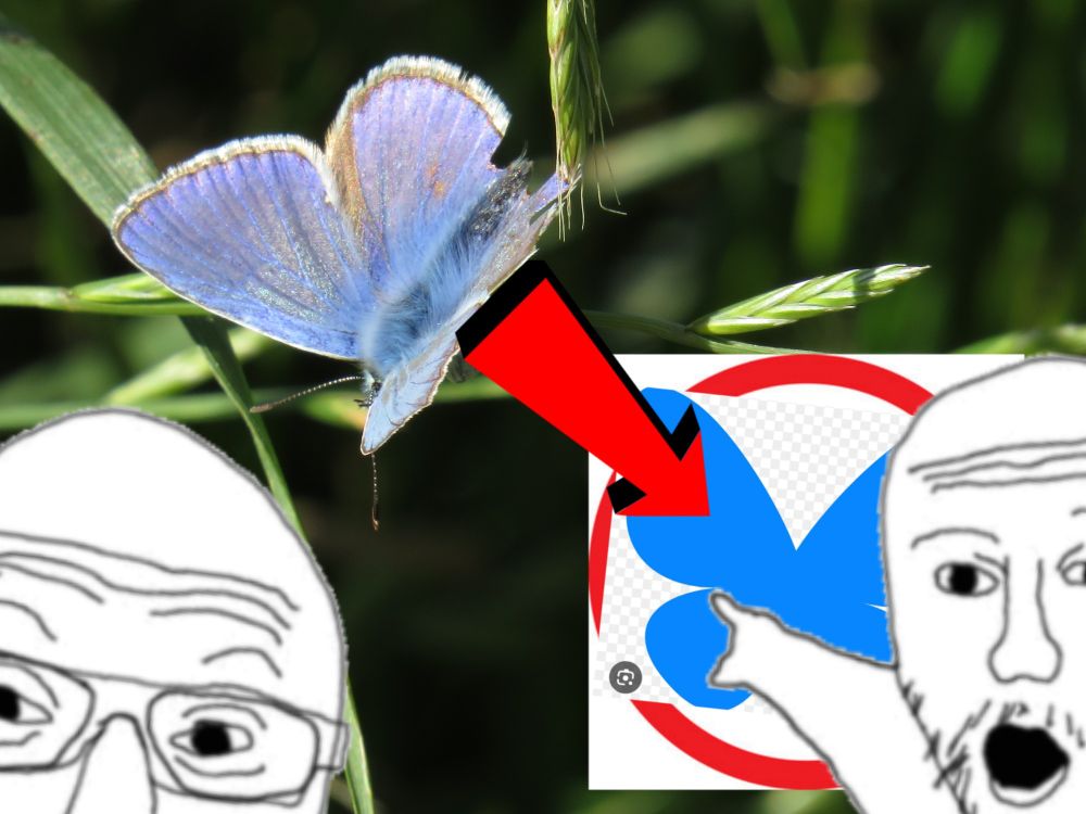 cielo azul referencia irl