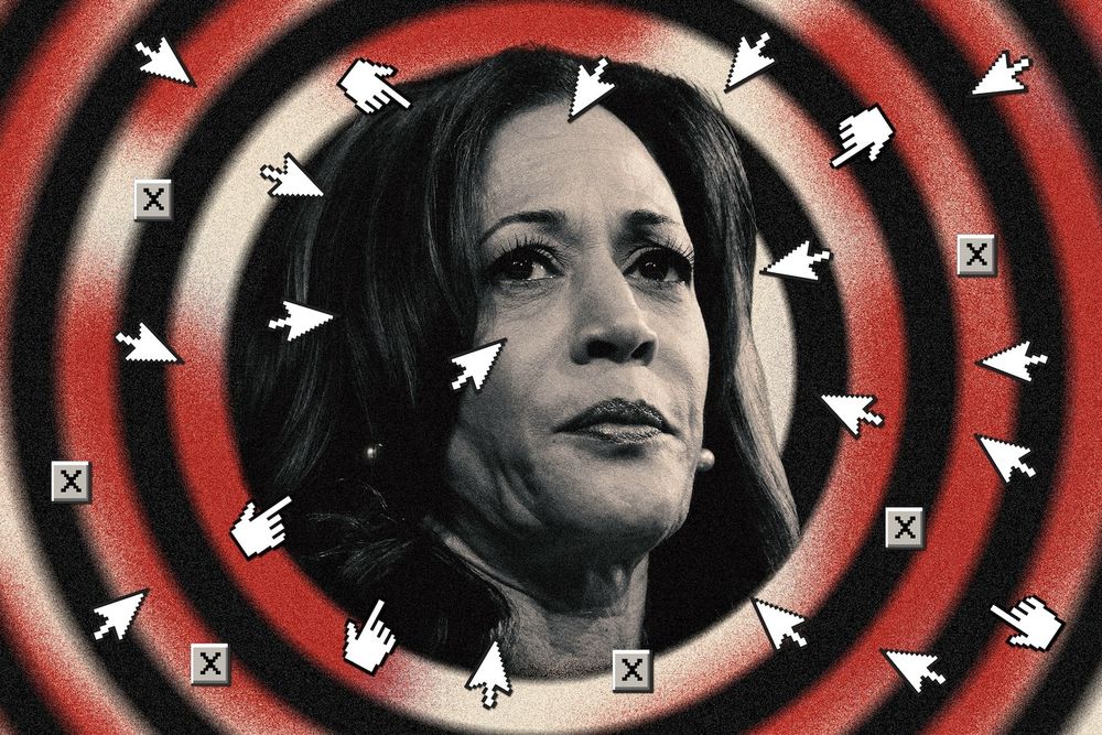 For years, Harris fought online abuse against women. Now she is a target.