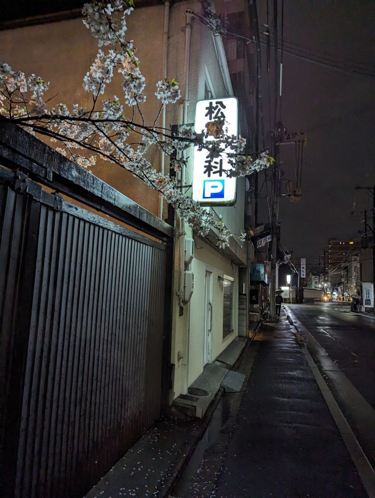 A street at night in Kyoto. A cherry blossom branch hangs over a gate into the sidewalk. The ground is wet from rain. 