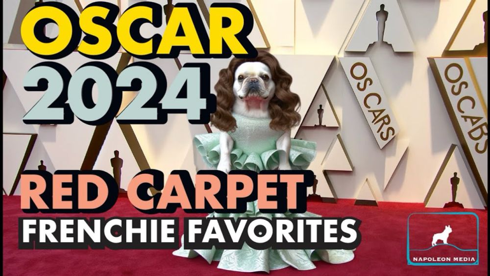 Oscars 2024 Fashion Canine Critique🐷 📸 🏆