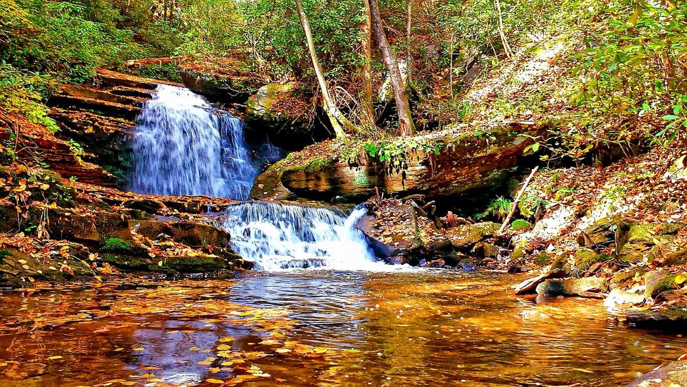 The forest whispered secrets as I stumbled upon the hidden falls. Water, a ribbon of silver, cascaded over mossy rocks, splashing into a pool of amber leaves. Sunlight, filtered through the trees, painted the scene in warm hues. The air, cool and damp, carried the scent of earth and rushing water. A sense of quiet peace settled over me, a moment stolen from time, as I watched the miniature waterfall dance and sparkle.
