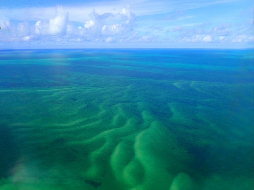 The vastness of the ocean stretches out before me, a canvas of blues and greens that shifts and changes with the light. The water is a symphony of colors, from the deep indigo of the open sea to the turquoise shallows near the shore.
The sun, a brilliant orb in the sky, casts its rays upon the waves, creating a dazzling dance of light and shadow. The clouds drift lazily overhead, their white forms contrasting with the azure sky.
The ocean is alive with motion, the waves crashing against the shore in a rhythmic cadence. Seabirds soar through the air, their cries echoing across the water.
The scene is one of endless beauty and tranquility, a place where the worries of the world seem to melt away. It is a place of peace and wonder, a place where the soul can find solace.
