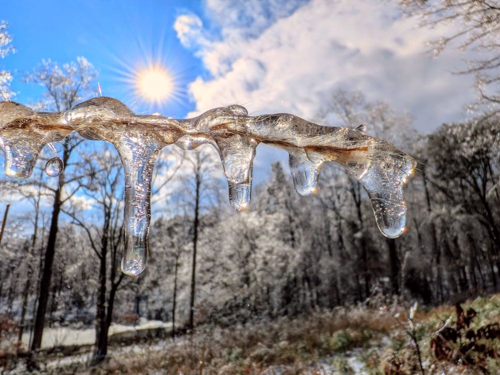 The sun, a brilliant disc of light, hangs low in the winter sky, its rays casting a golden glow over the frosty landscape. A branch, laden with glistening icicles, stretches out like a skeletal hand, reaching towards the warmth. Each icicle, a miniature masterpiece of nature's artistry, drips and glistens, reflecting the sunlight like a thousand tiny mirrors. The air is crisp and still, the only sound the gentle drip, drip, drip of melting ice. It's a moment of quiet beauty, a reminder of the delicate balance of nature's power.
