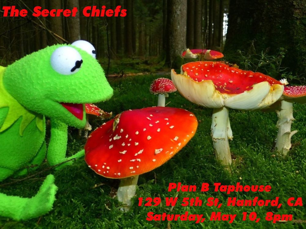 The Secret Chiefs will be playing at Plan B Taphouse, 129 W 5th St, Hanford CA Saturday May 10, 8pm.