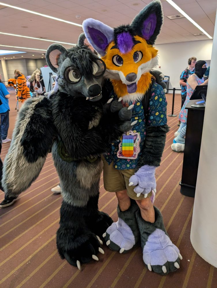 Photo of two fursuiters, Scramble (a purple and orange fox with mismatched ears) and Wix (a skunk with glasses)