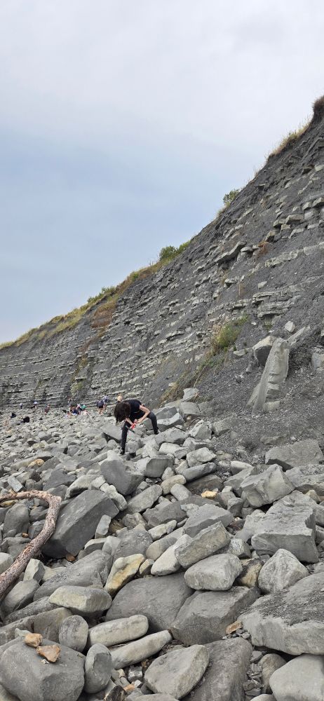 The Same cliff with a driftwood log to the side. A girl hammering at a rock in the center.