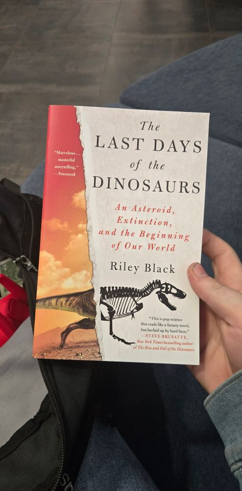 a book with a Tyrannosaurus skeleton with the left side still it being alive in a sunset.