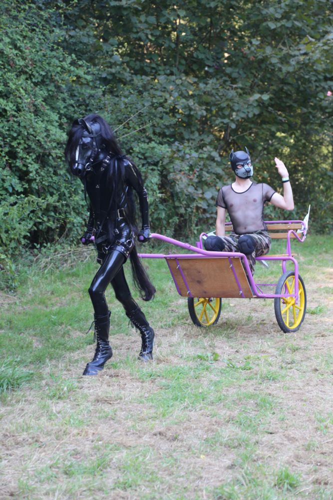 A black latex-clad pony player is pulling a sulky in a field. A puppy player is sat on the sulky, waving his hand at the public (out of frame)