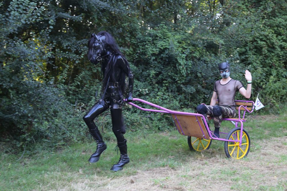 A black latex-clad pony player is pulling a sulky in a field. A puppy player is sat on the sulky, waving his hand at the public (out of frame)