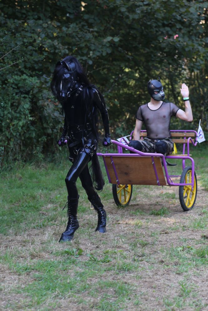 A black latex-clad pony player is pulling a sulky in a field. A puppy player is sat on the sulky, waving his hand at the public (out of frame)