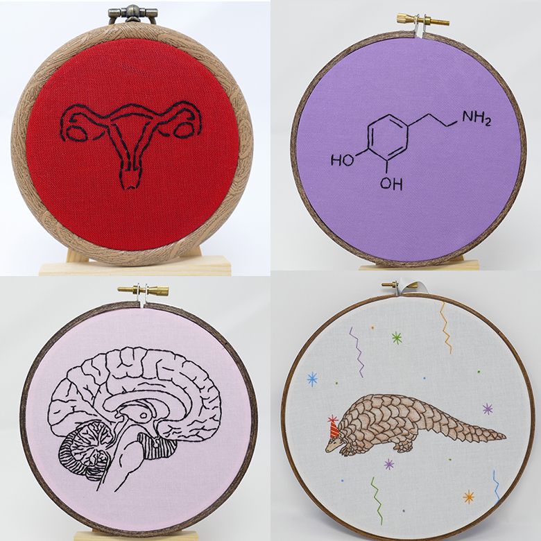Four hand-embroidered science images framed in hoops: a uterus on red fabric, a dopamine molecule on purple fabric, a pangolin in a party hat on white fabric, and a human brain slice on pink fabric.