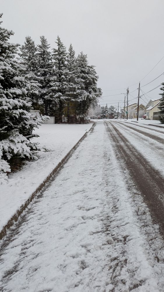 Wet snow clinging to trees and snow covered ground on a residential street. 