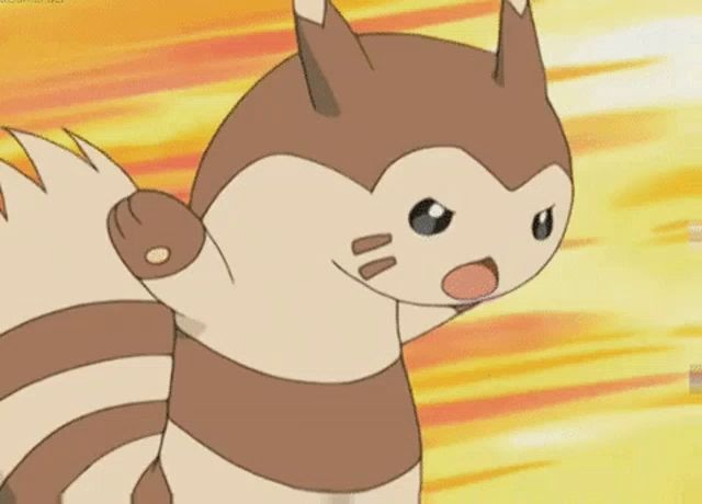 Furret Pokemon Aaaaa GIF