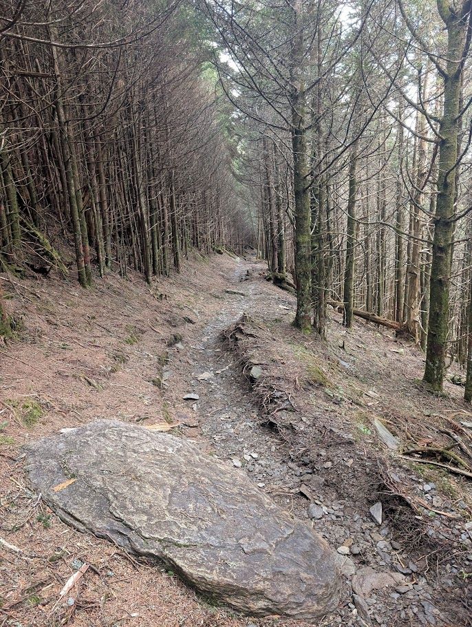 Going back to the parking lot from the Kuwohi observation tower, we took the Appalachian Trail, which is more natural, and more empty. 