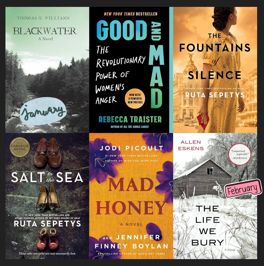 A collage of book covers of books read in January and February: Blackwater, good and mad, the fountains of silence, salt to the sea, mad honey, the life we bury 