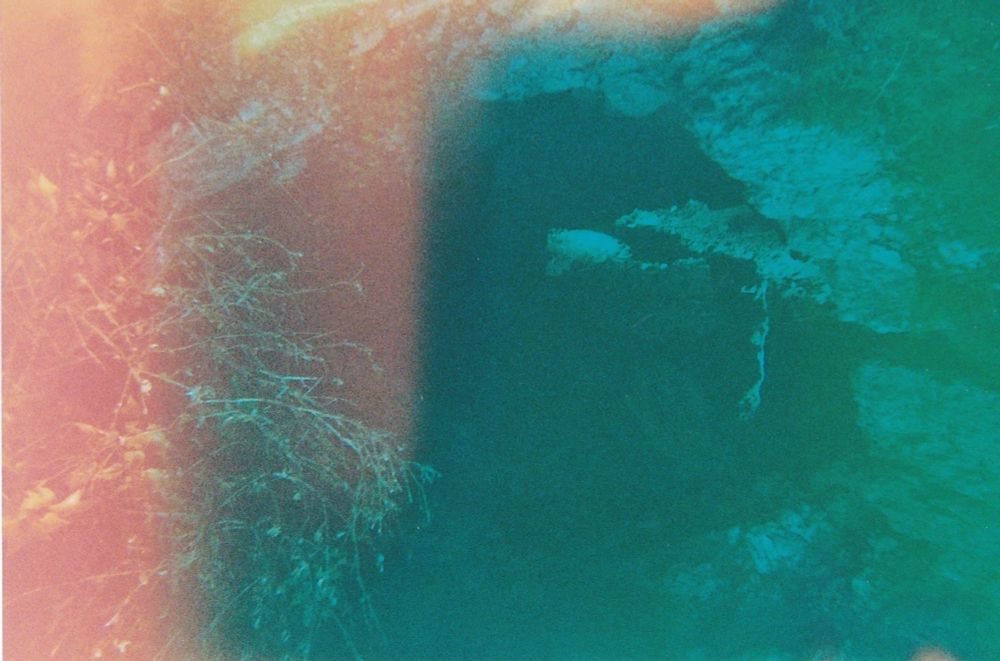 Rituals of Insignificance