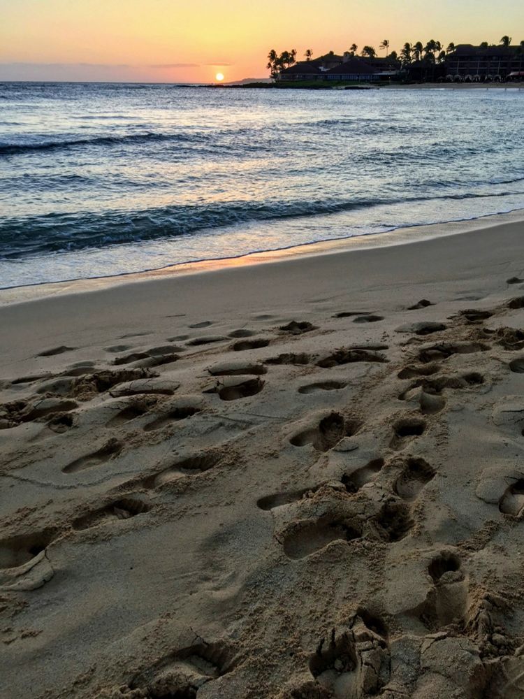 Wet sand with footprints and small waves as the sun sets in the background. 