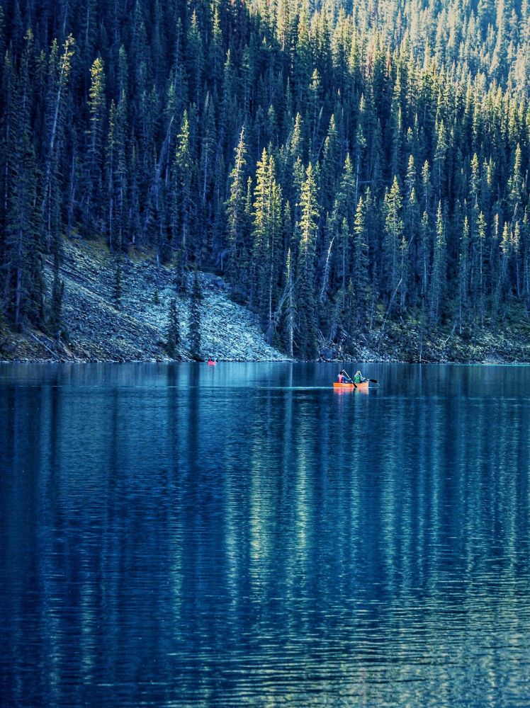 A close-up of a forest-covered mountain meeting a lake in the shadows with light hitting the tops of some trees. The trees and light are reflected in the lake as lines of light as a red canoe floats by. 