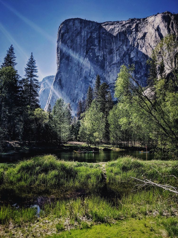 El Capitan mountain in Yosemite with trees, water, and grass in the foreground. Two rays of light come from the top left corner 