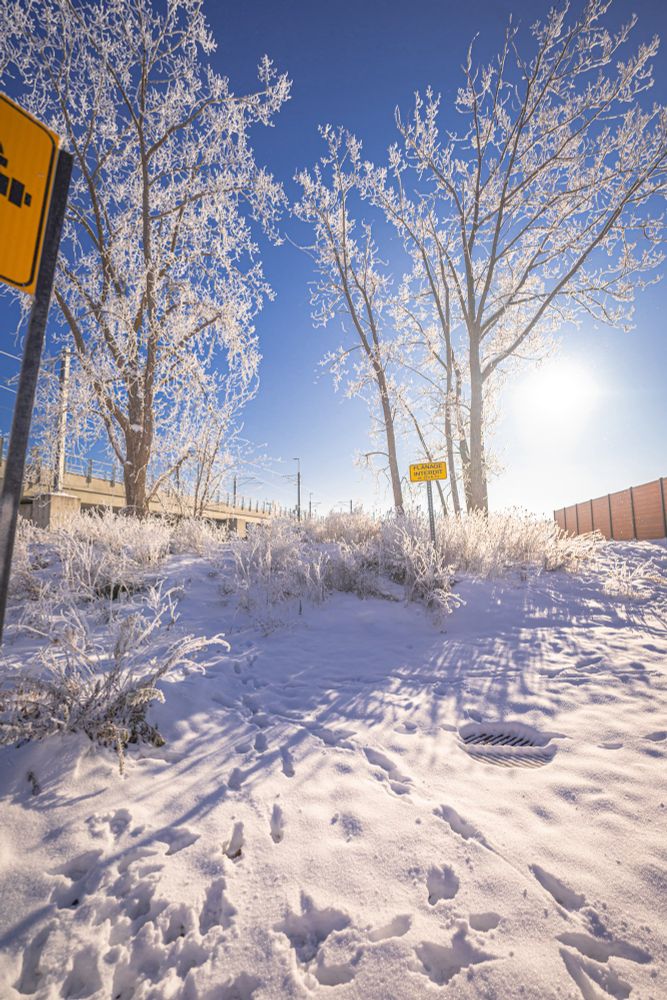 A bright sunny day with frost covering the trees
