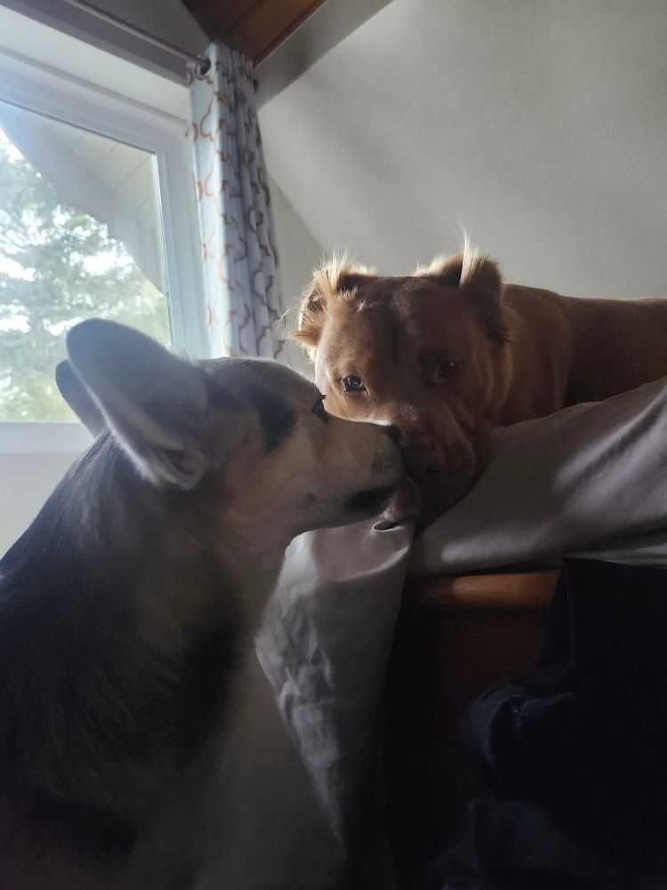 All: Macready and Cowboy being sweet and then getting mega playful
