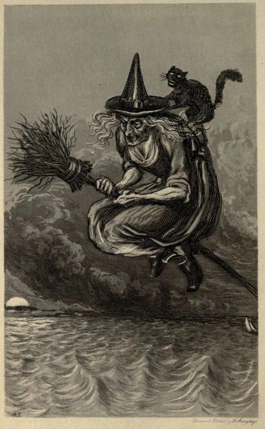 Cool witch with cat