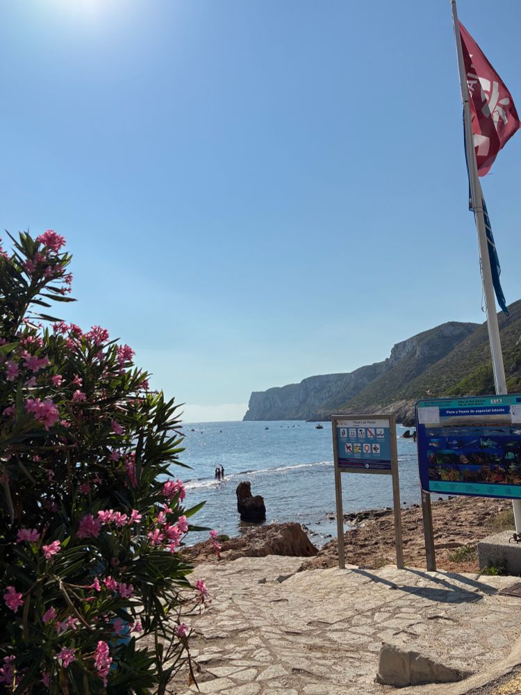 🌊⛰️🏄🏽‍♀️