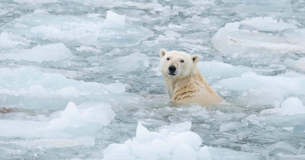 Klimawandel beschleunigt Artensterben