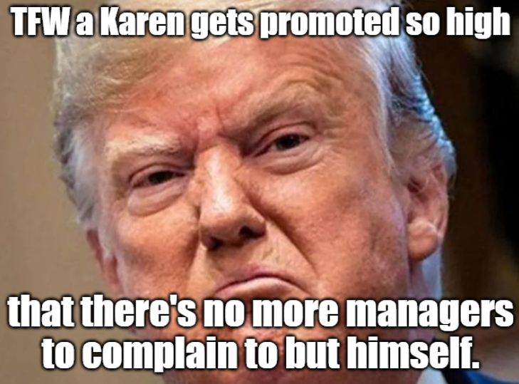 An angry picture of Trump captioned "TFW a Karen gets promoted so high that there's no more managers to complain to but himself."