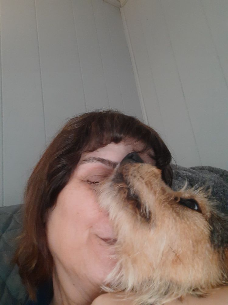 Our beautiful wired hair mix terrier puppy Max telling his mom good morning by giving her face kissies 
