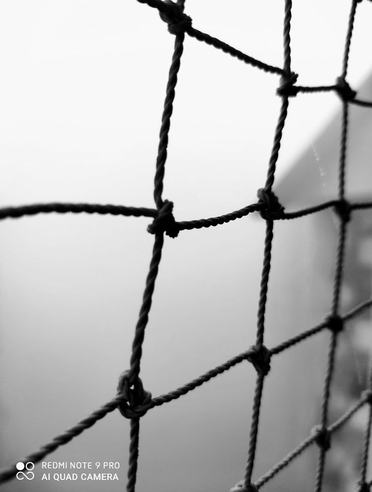 Fog through a net. Building beyond, barely seen. Black and white.