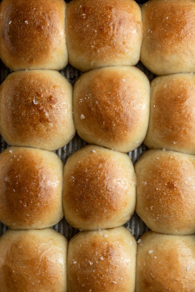 Sourdough dinner rolls in a pan overhead shot. 