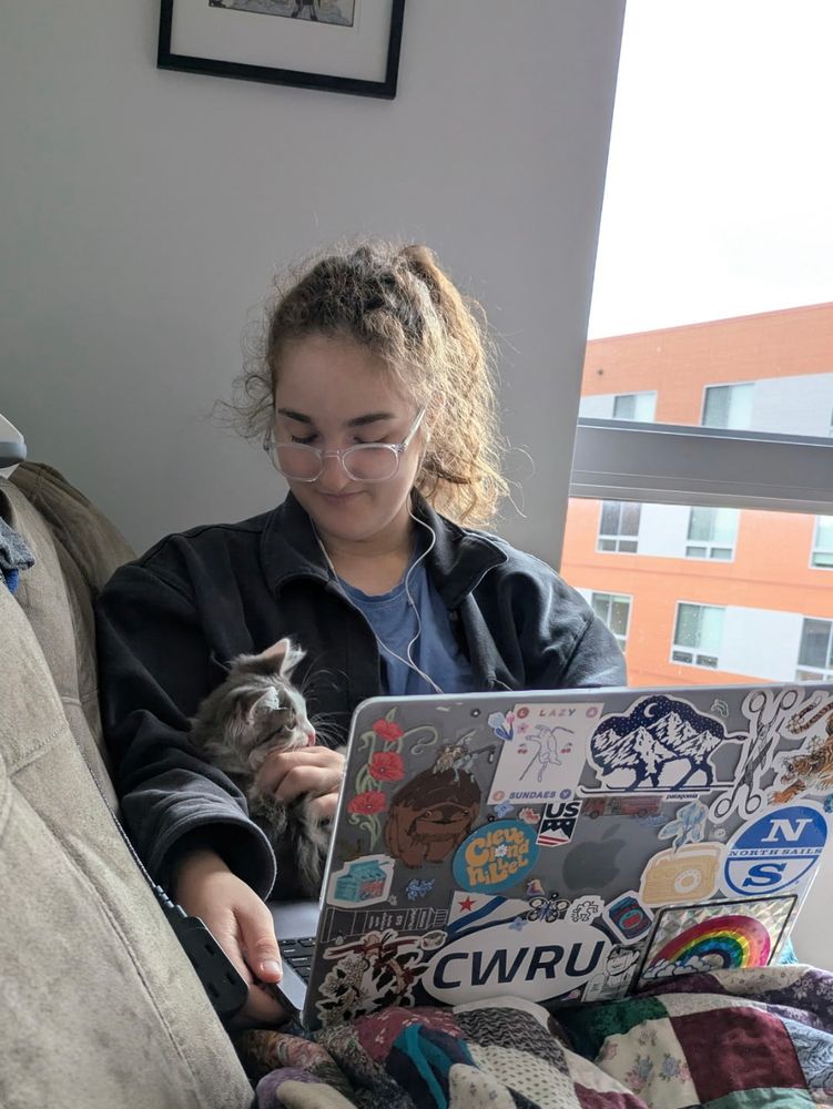 A small grey and white kitten sits on a woman's laptop, staring at the screen. The woman (Kate Carter) pets her head 