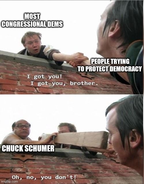 The die hard meme from Sunny. Liam McPoyle (most congressional Dems) is trying to save his brother (people trying to protect democracy). Frank (Chuck Schumer) uses a piece of wood to make sure McPoyle falls 