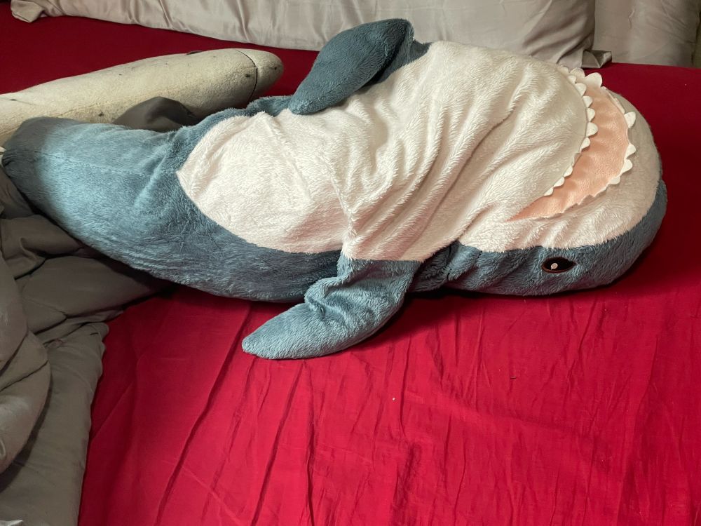 blahaj (shark) plush laying upside down with one fin laying on top of it