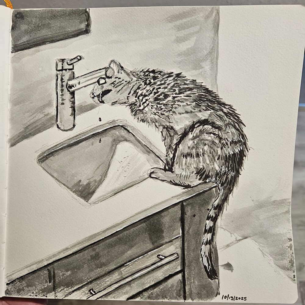 An ink drawing of a tabby cat drinking from a sink faucet