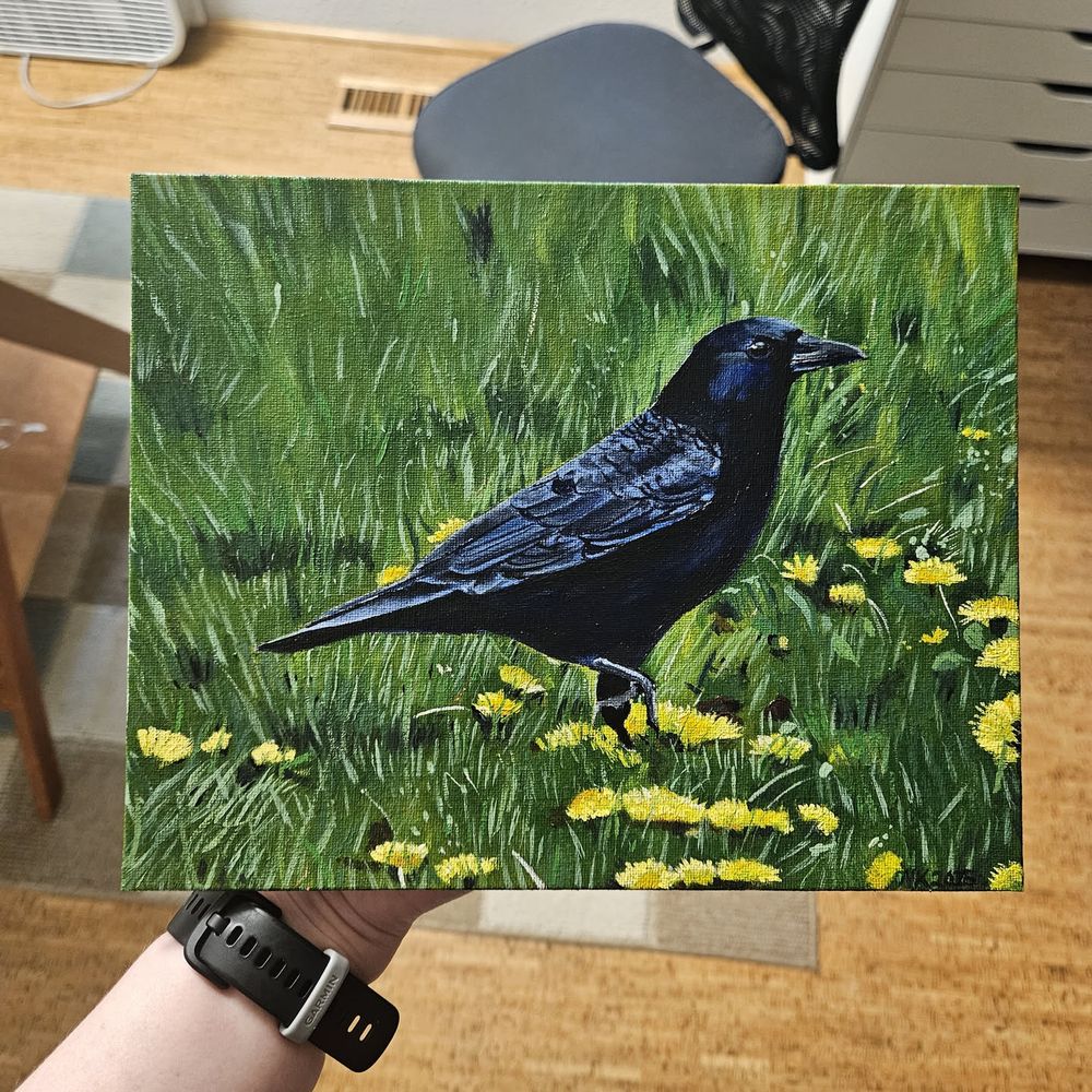 a photo of an 8x10 oil painting on canvas board of a crow standing in very green cut grass amidst dandelion flowers. The grow is daintily picking their way through the flowers with one foot up in the painting. A slight blue sheen adorns all of the crow's feathers. 