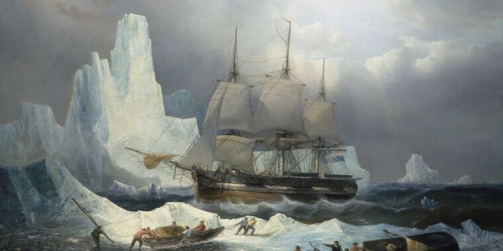 Scientists ID cannibalized remains of doomed Franklin expedition member