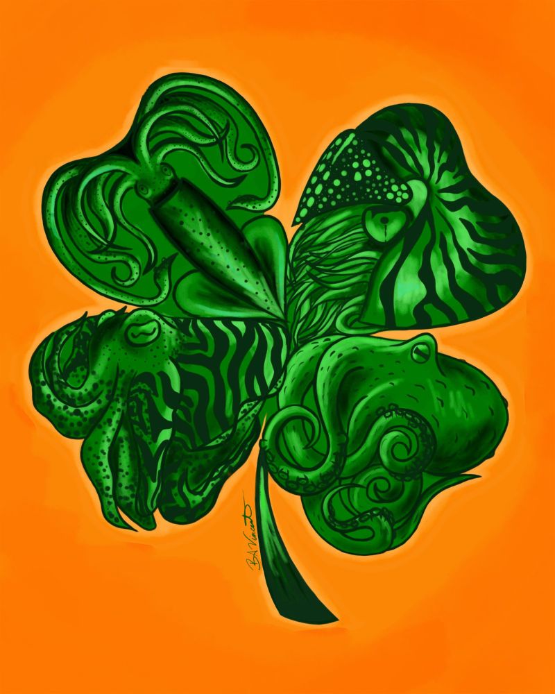 Drawing of a clover made up of cephalopods