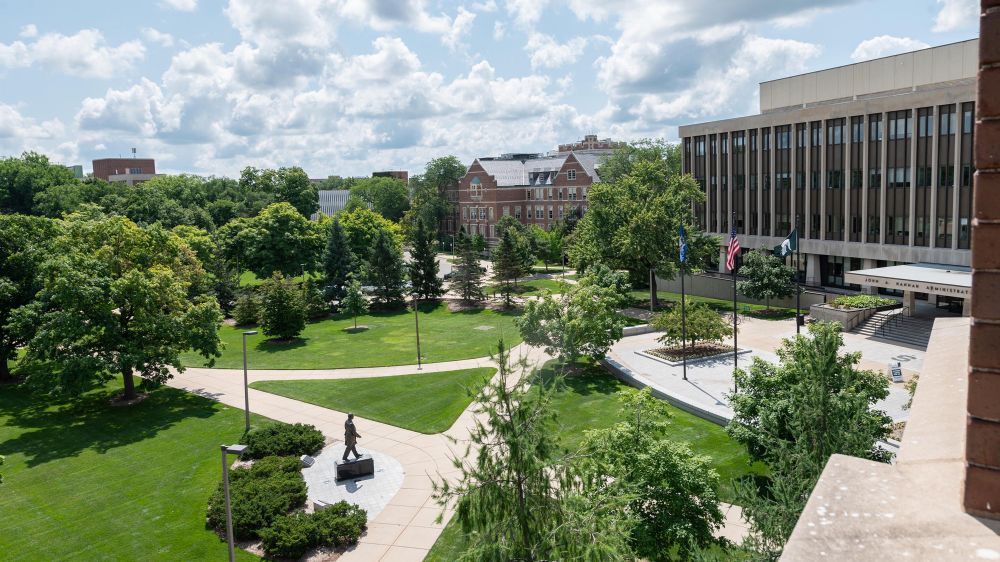 MSU recognized in top 20 among public universities