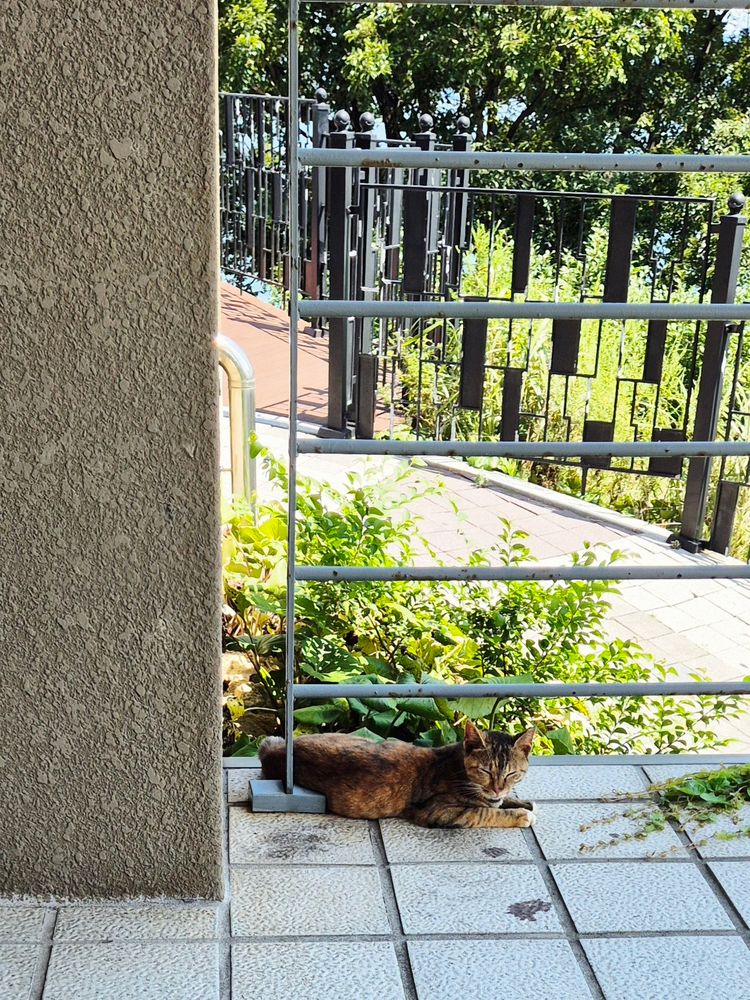 여수 케이블카 타는곳에서.