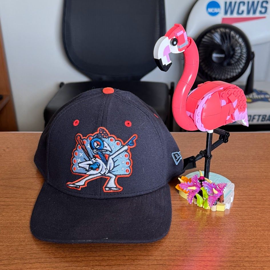 A dark navy blue Carolina Disco Turkeys baseball cap is on my desk with a Lego Flamingo.